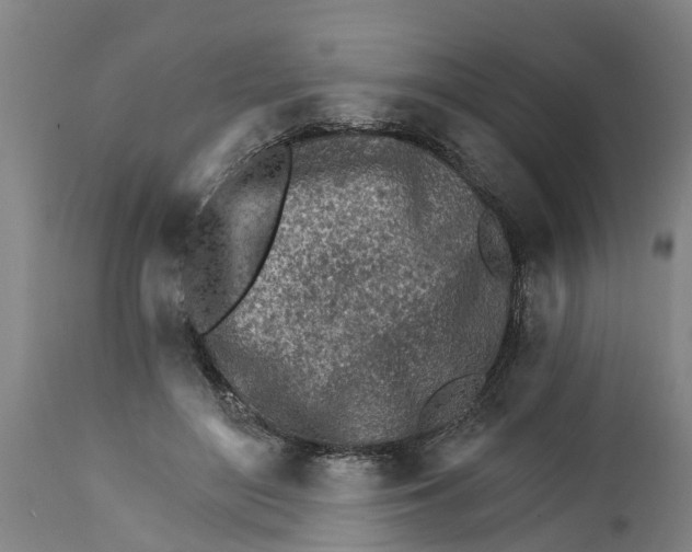 X0000114400500200911131409