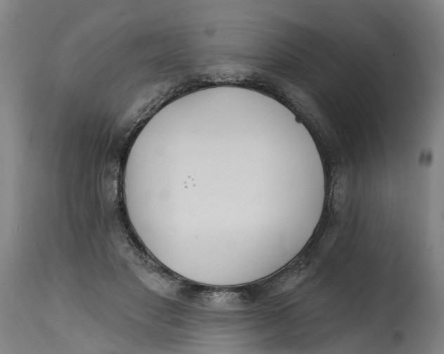 X0000114400501200911131409