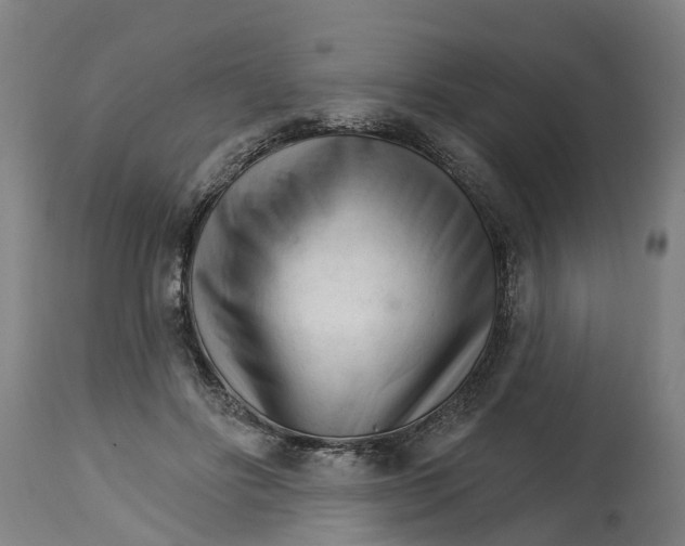 X0000114400502200911131409