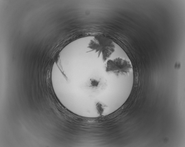 X0000114400503200911131409