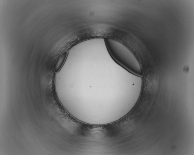 X0000114400505200911131409