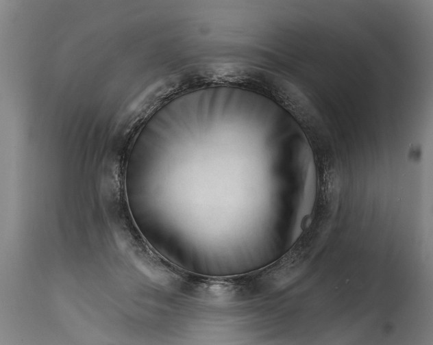 X0000114400506200911131409