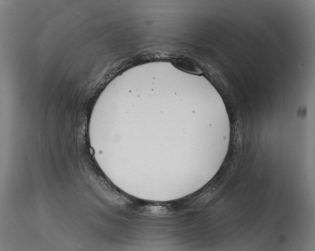 X0000114400509200911131409