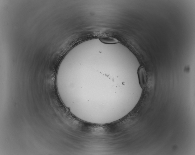 X0000114400513200911131409