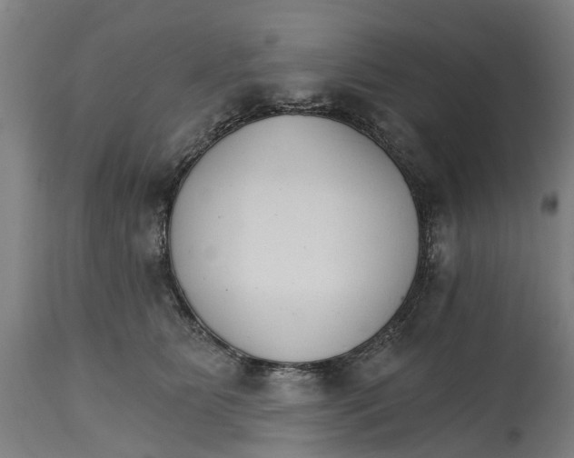 X0000114400515200911131409