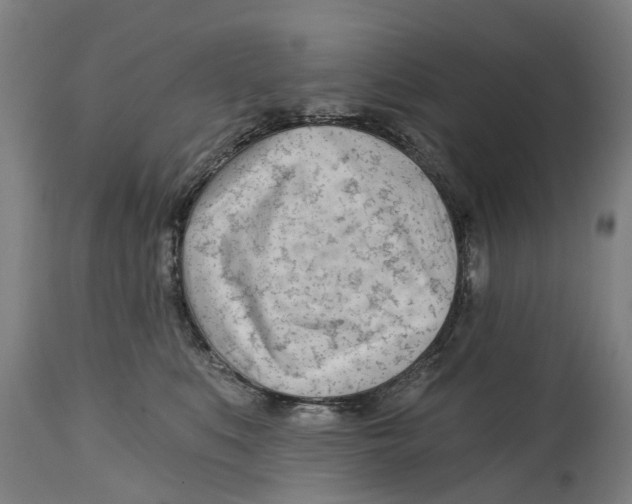 X0000114400519200911131409