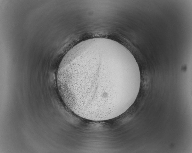 X0000114400523200911131409