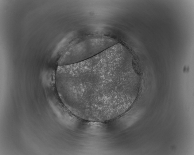 X0000114400528200911131409