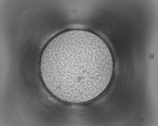 X0000114400529200911131408