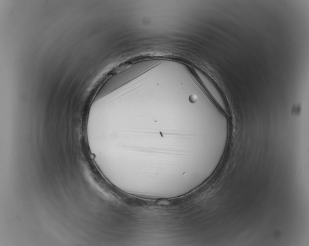 X0000114400530200911131408