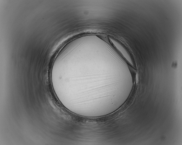 X0000114400531200911131408