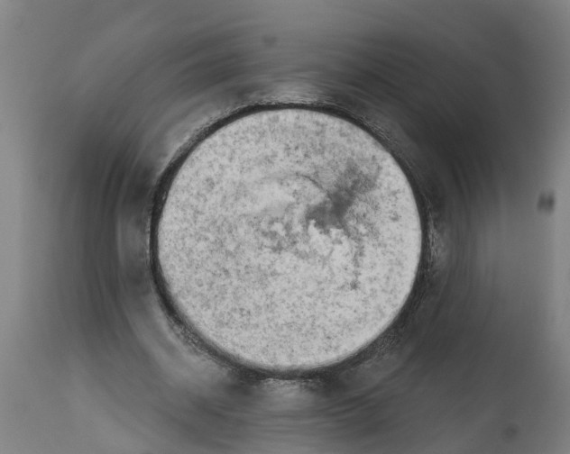 X0000114400534200911131408