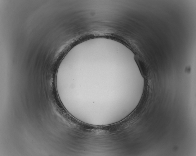 X0000114400539200911131408