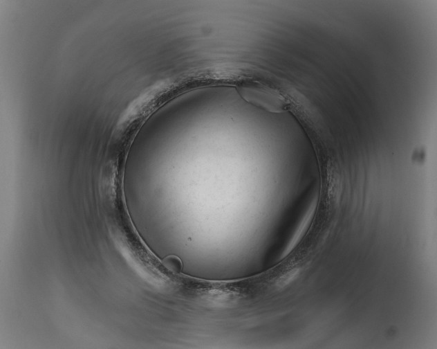 X0000114400542200911131408