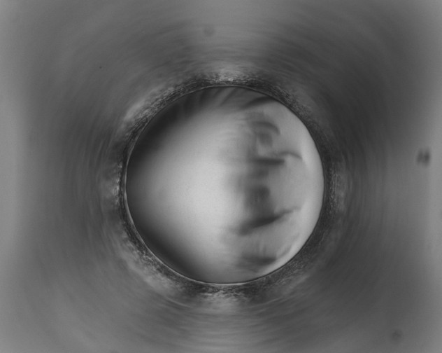 X0000114400545200911131408