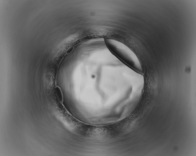 X0000114400546200911131408