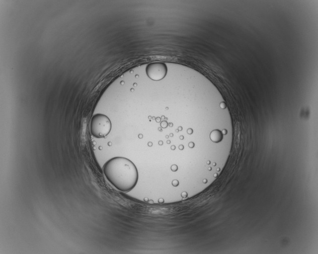 X0000114400550200911131408