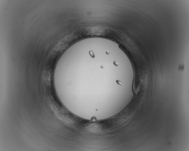 X0000114400551200911131408