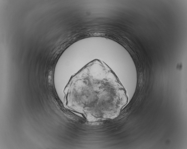 X0000114400553200911131408