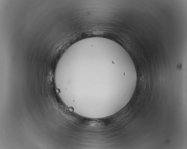 X0000114400555200911131408