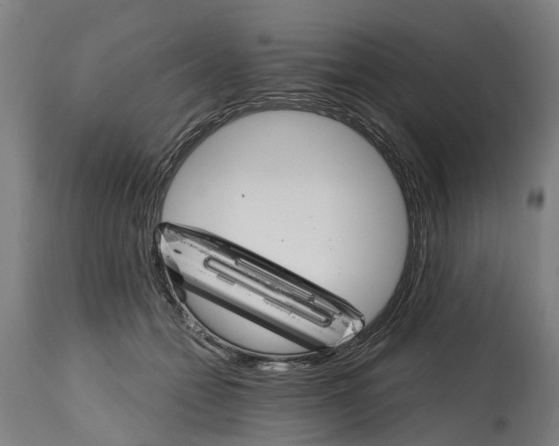 X0000114400558200911131409