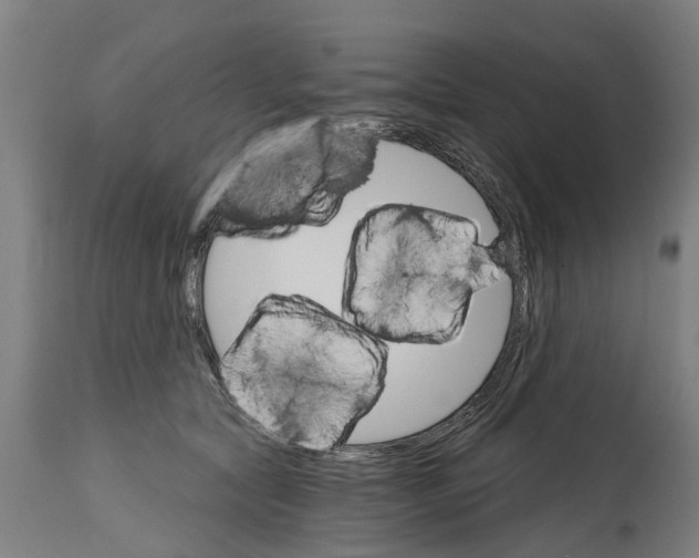 X0000114400561200911131409