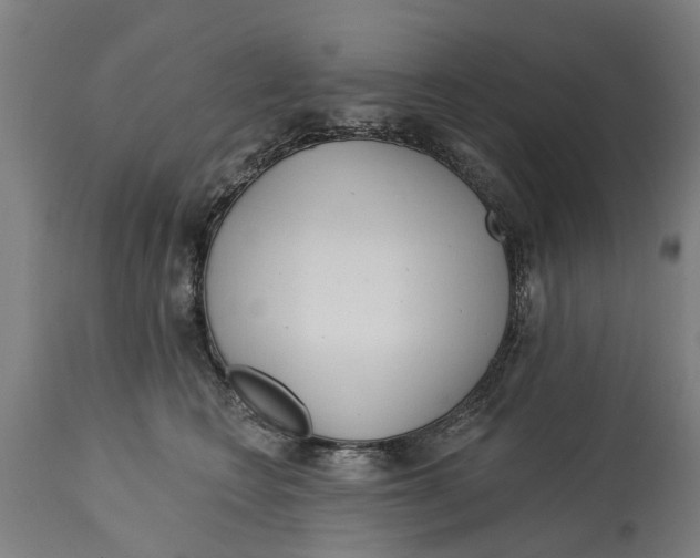 X0000114400566200911131409