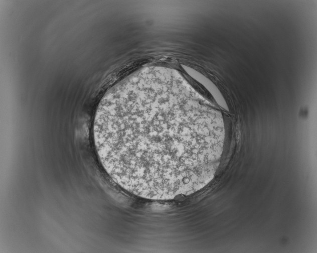 X0000114400570200911131409