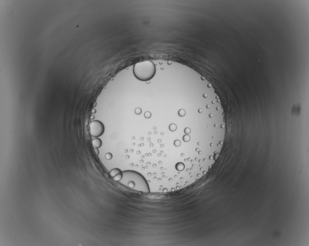 X0000114400575200911131409