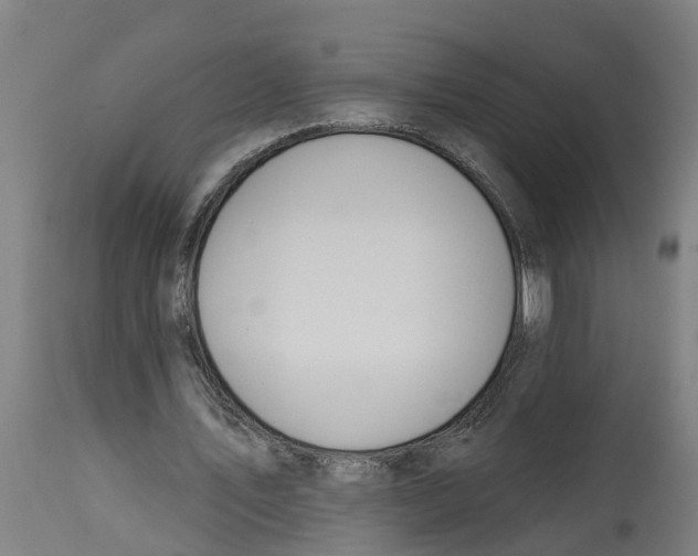 X0000114400579200911131408