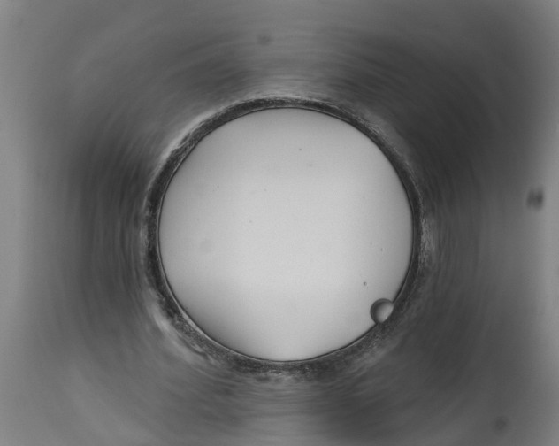 X0000114400580200911131408