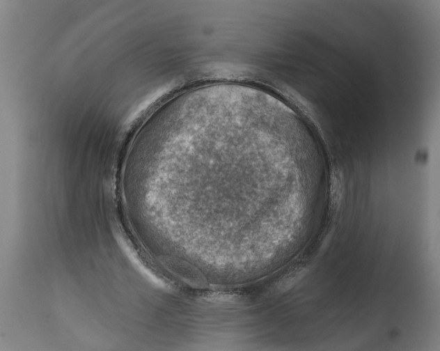 X0000114400581200911131408