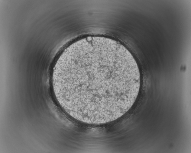 X0000114400584200911131408