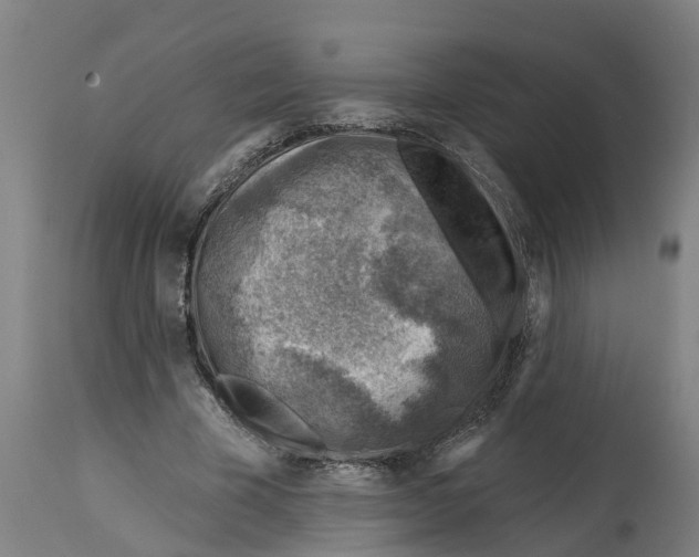 X0000114400585200911131408