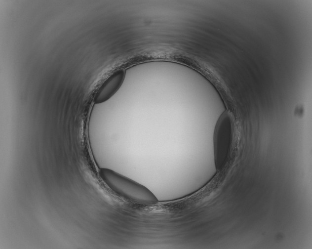 X0000114400589200911131408