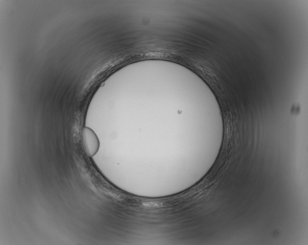 X0000114400591200911131408