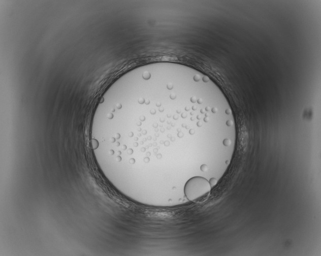 X0000114400594200911131408