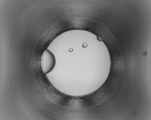 X0000114400595200911131408