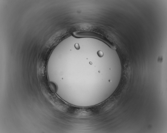 X0000114400597200911131408