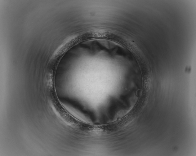 X0000114400598200911131408