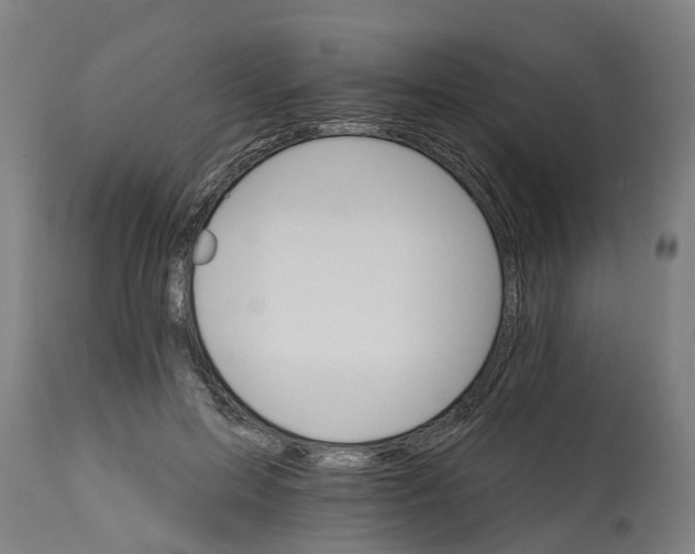 X0000114400599200911131408