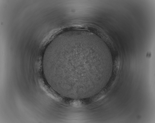 X0000114400600200911131408