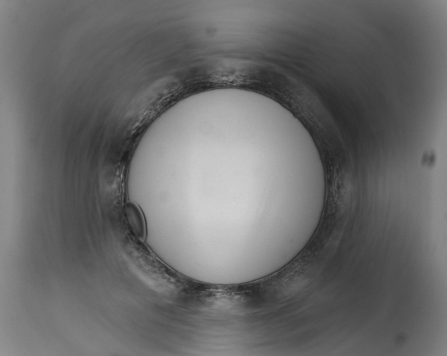 X0000114400601200911131408