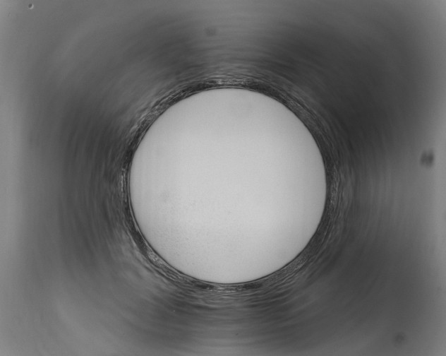 X0000114400604200911131408