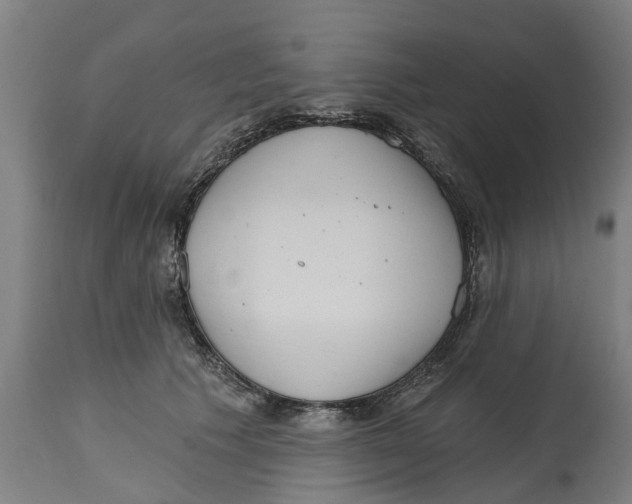 X0000114400609200911131407