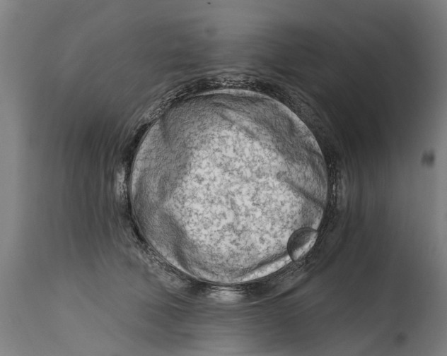 X0000114400610200911131407