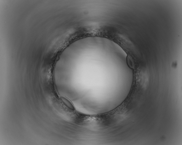 X0000114400611200911131407