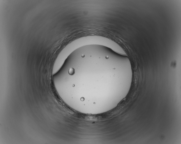 X0000114400613200911131407