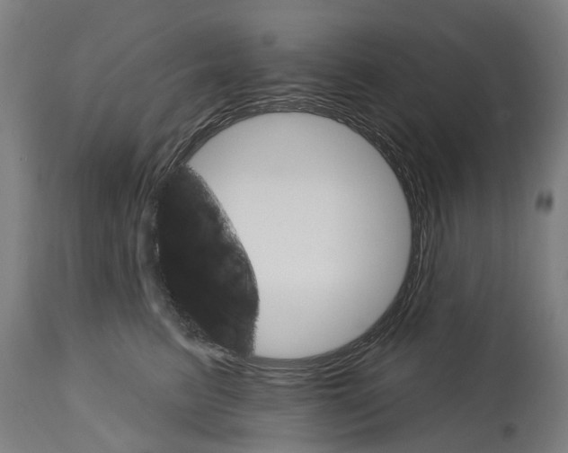 X0000114400615200911131407