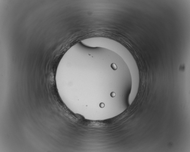 X0000114400617200911131407